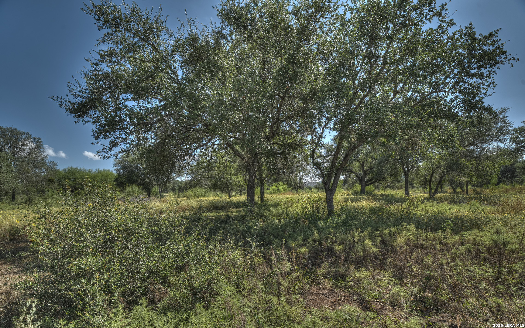 158 River Valley Road Rio Frio TX 78879