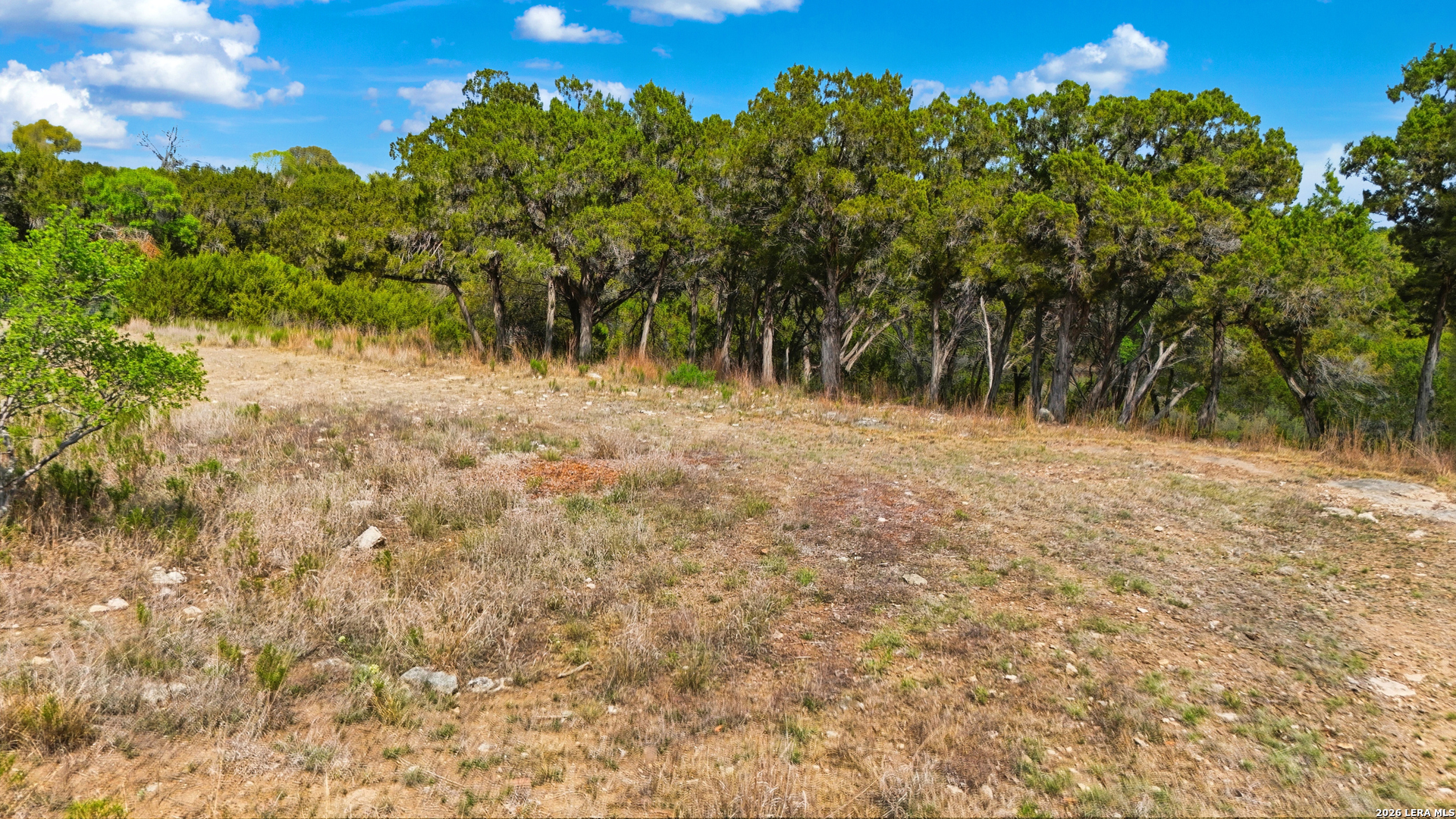 1033 Bluewater Spring Branch TX 78070