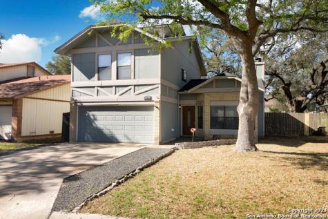 17031 Vista Park Drive San Antonio TX 78247