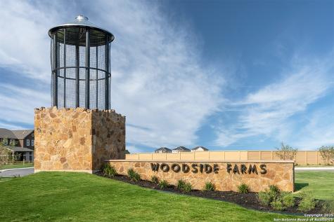 3905 Woodside Drive Seguin TX 78155