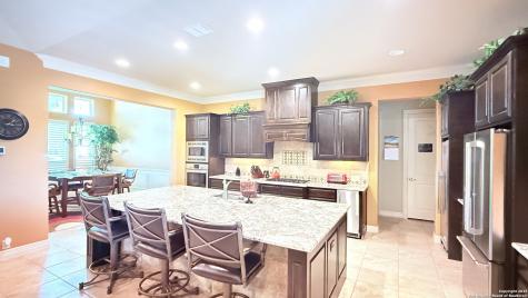 1542 Melanie Circle San Antonio TX 78258
