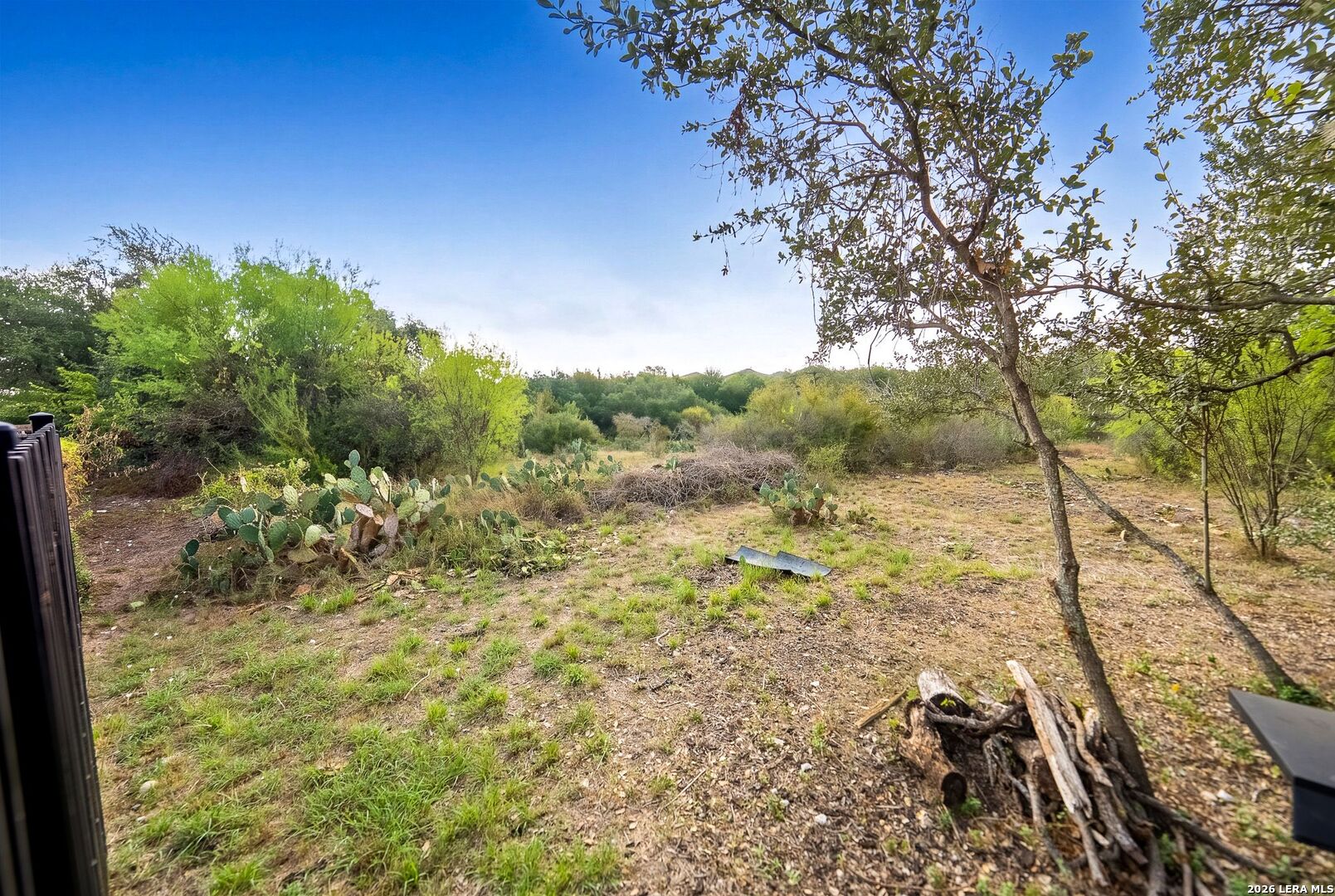 206 Reeves Garden San Antonio TX 78253