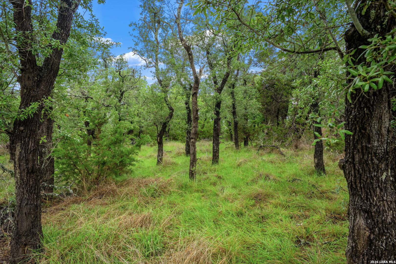 7625 N State Highway 16 Fredericksburg TX 78624