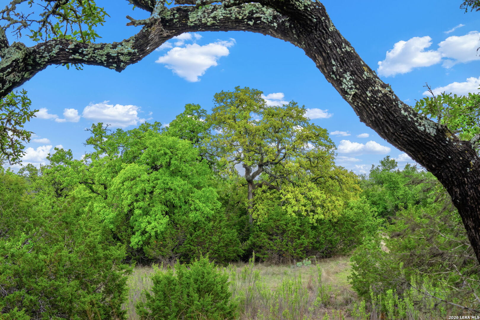 7625 N State Highway 16 Fredericksburg TX 78624