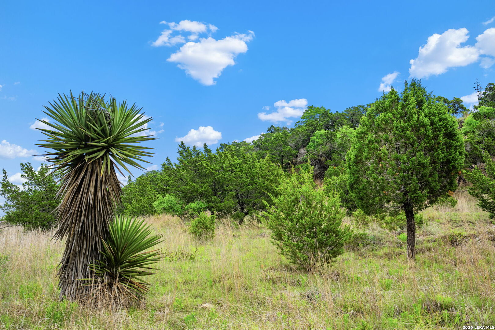7625 N State Highway 16 Fredericksburg TX 78624