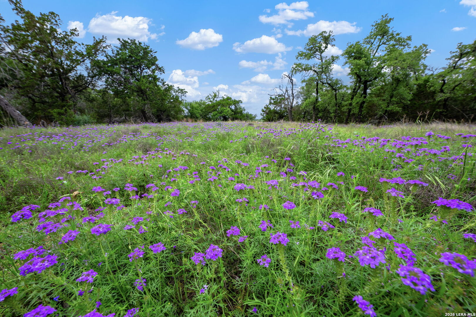 7625 N State Highway 16 Fredericksburg TX 78624