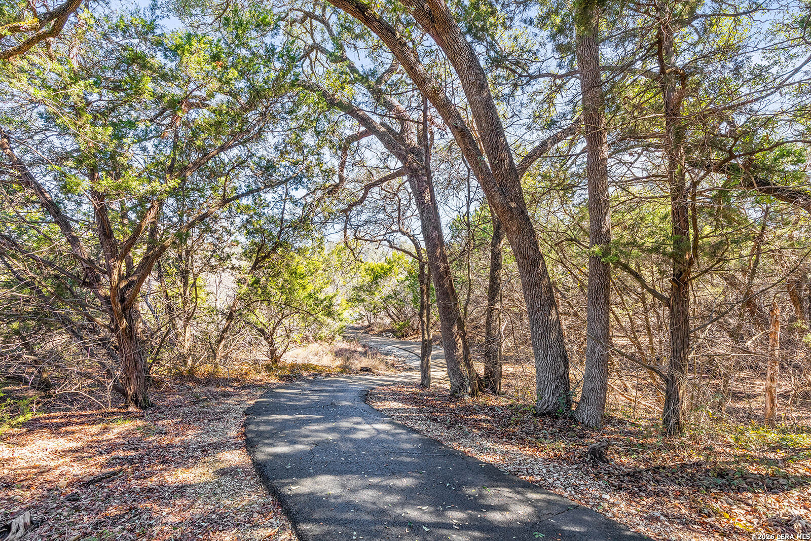 26210 Tuscan Woods San Antonio TX 78261