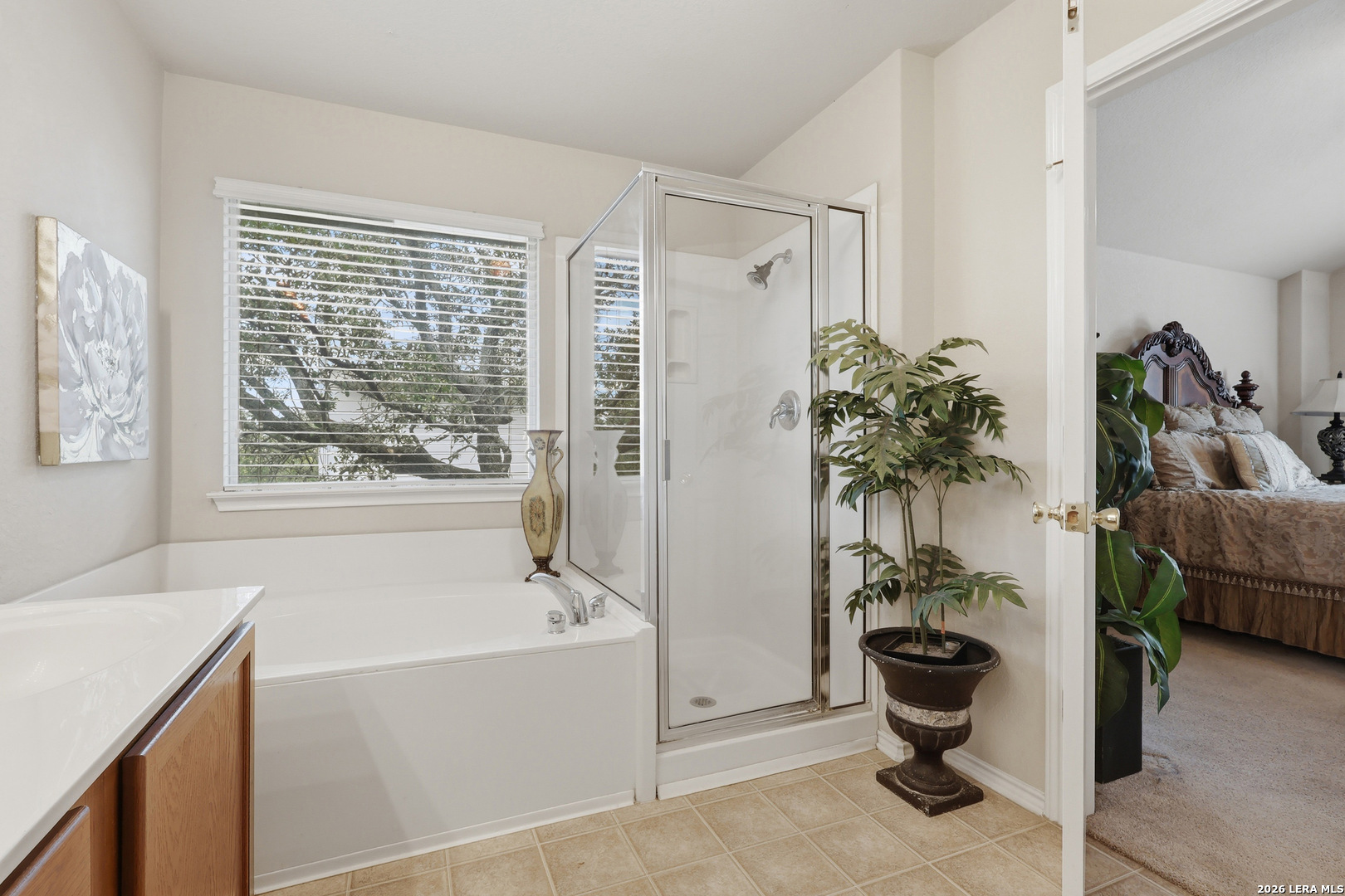 10411 Risen Bay San Antonio TX 78254