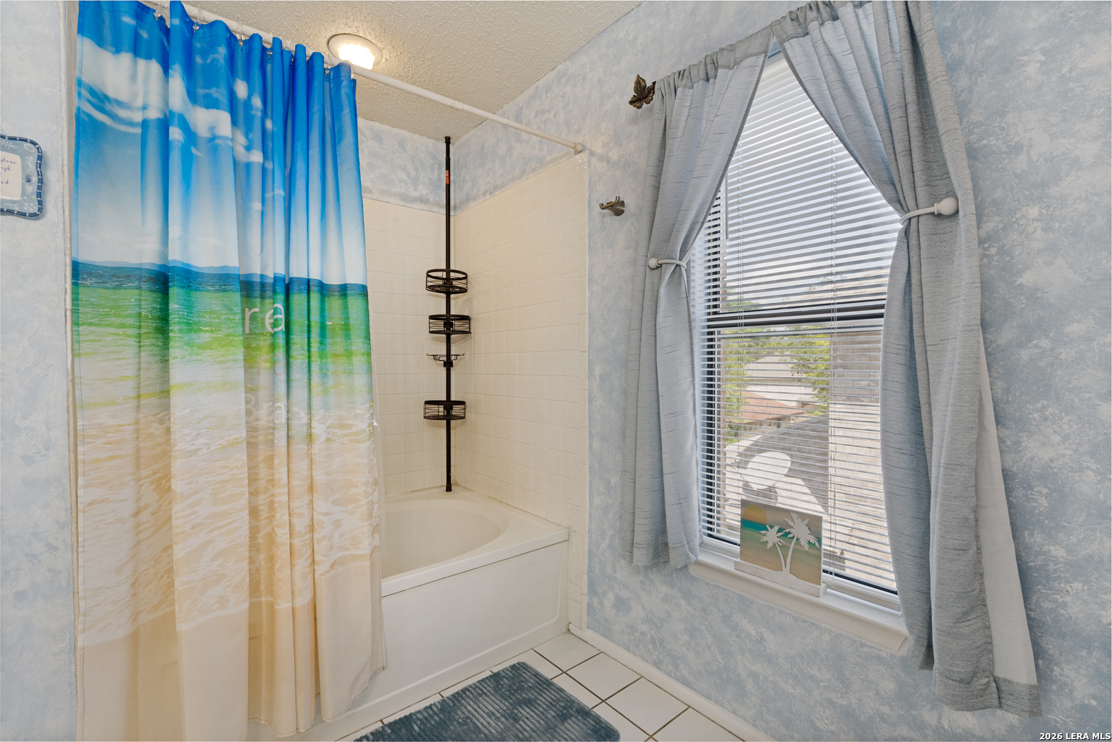 16659 Fallen Tree Drive San Antonio TX 78247