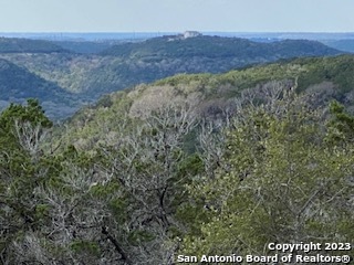 224 Private Road 1717 Mico TX 78056