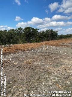 224 Private Road 1717 Mico TX 78056