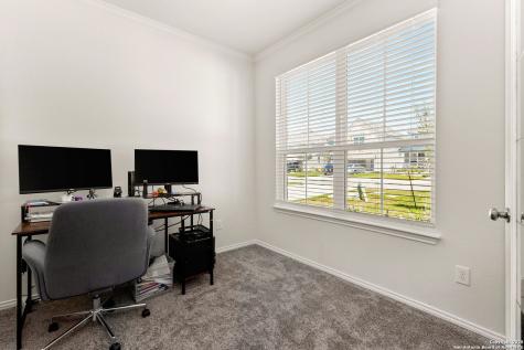 4012 Wild Bloom Seguin TX 78155