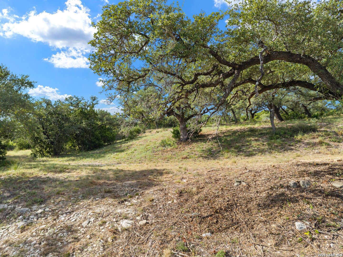 23422 Tres Arroyos San Antonio TX 78006