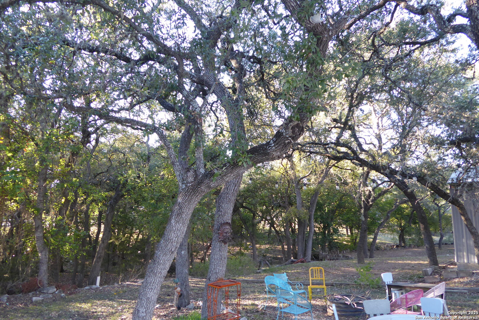1884 Live Oak Canyon Lake TX 78133