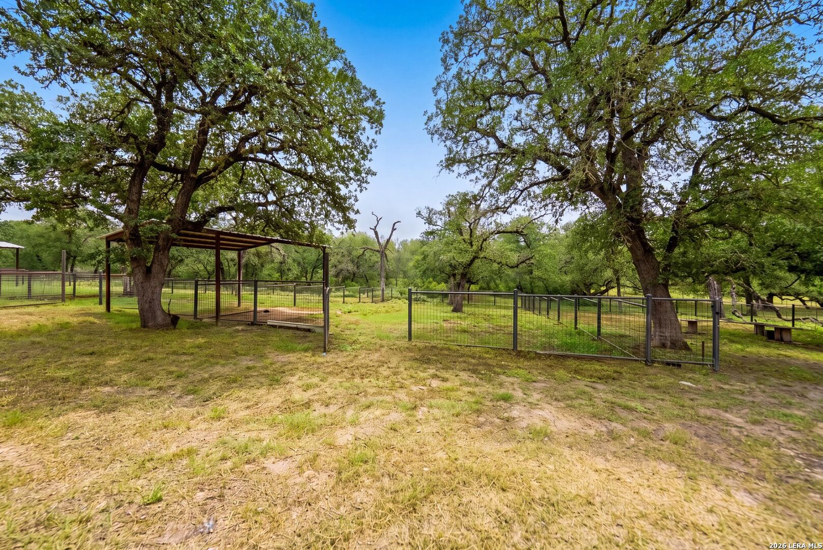 147 Rambling Trail La Vernia TX 78121
