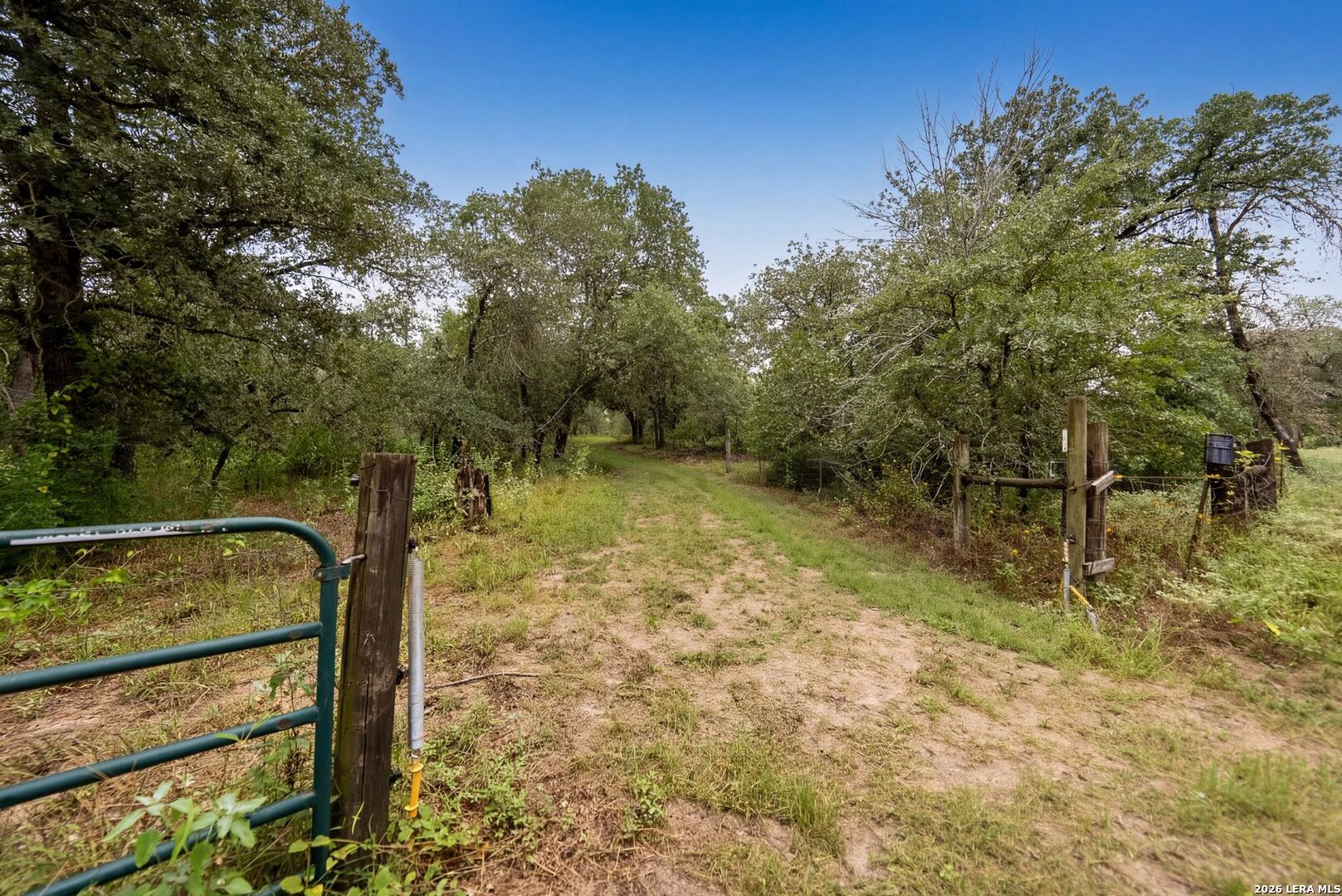 147 Rambling Trail La Vernia TX 78121