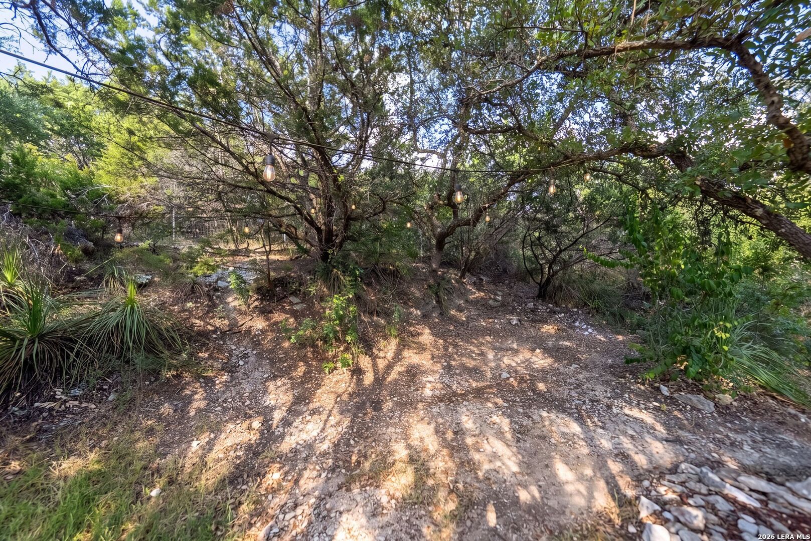 9915 Scenic Hills Drive San Antonio TX 78255