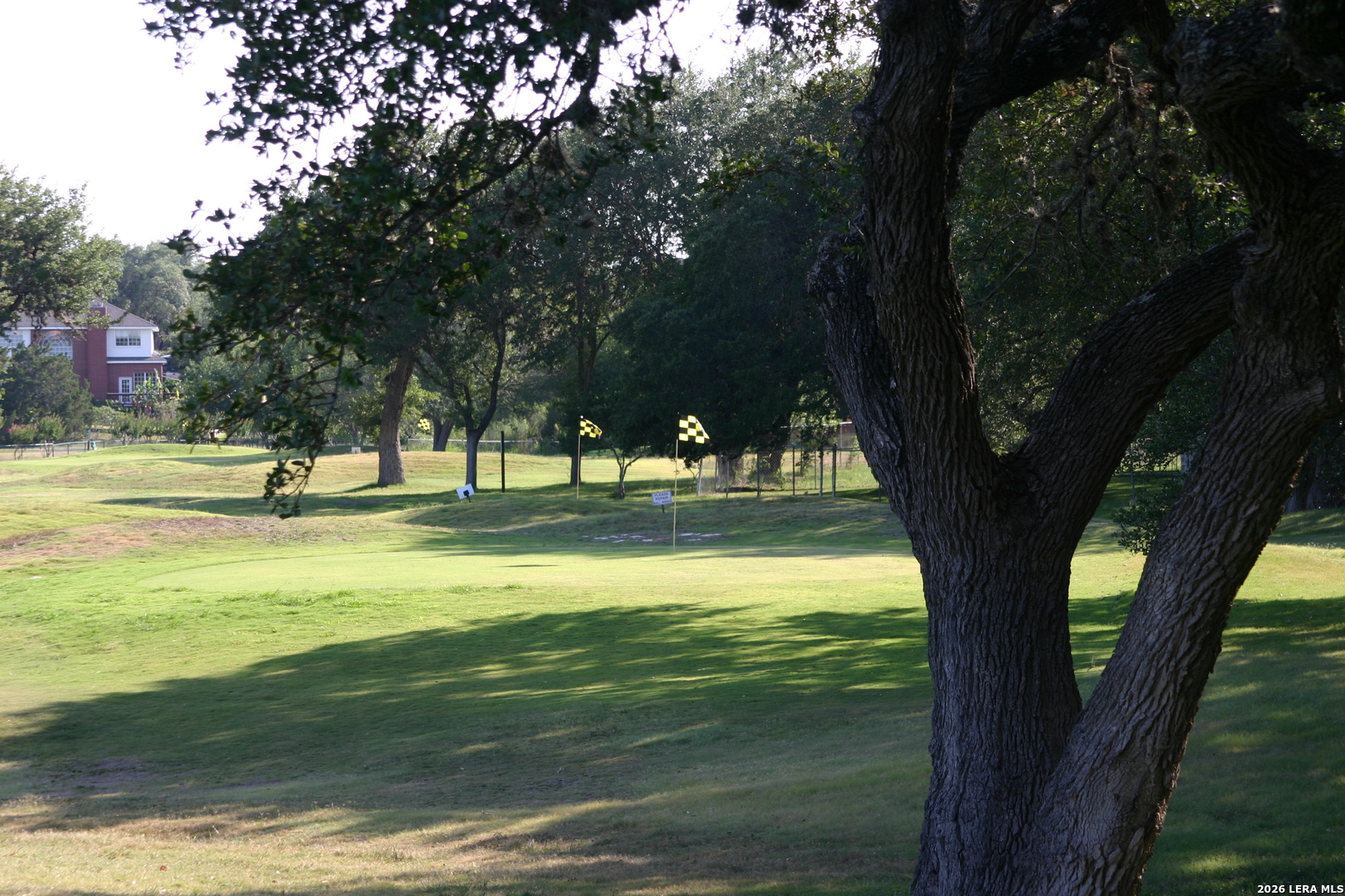 26315 Silver Cloud San Antonio TX 78260