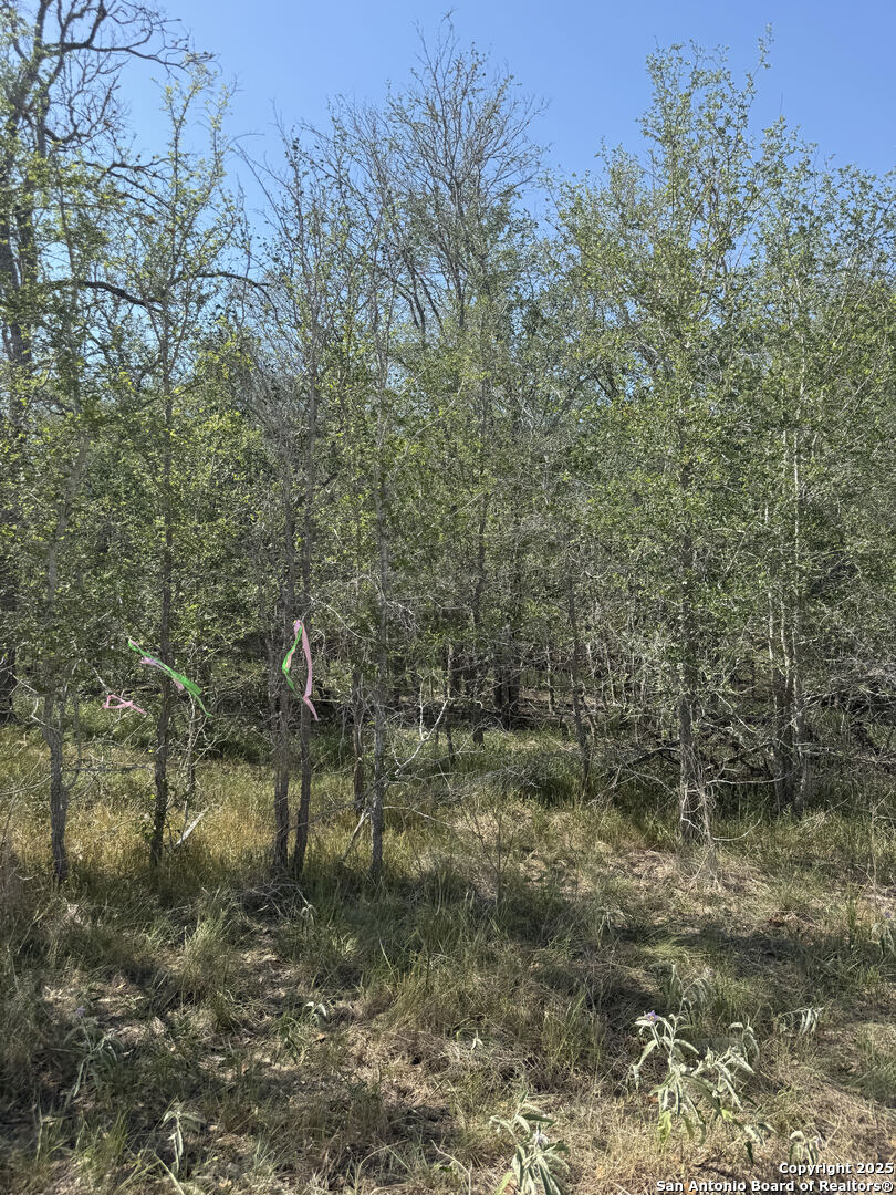 421 Kerr Avenue Sutherland Springs TX 78161