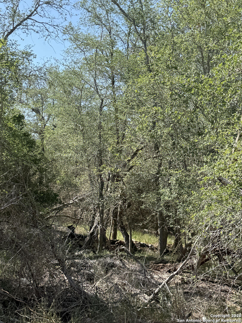 421 Kerr Avenue Sutherland Springs TX 78161