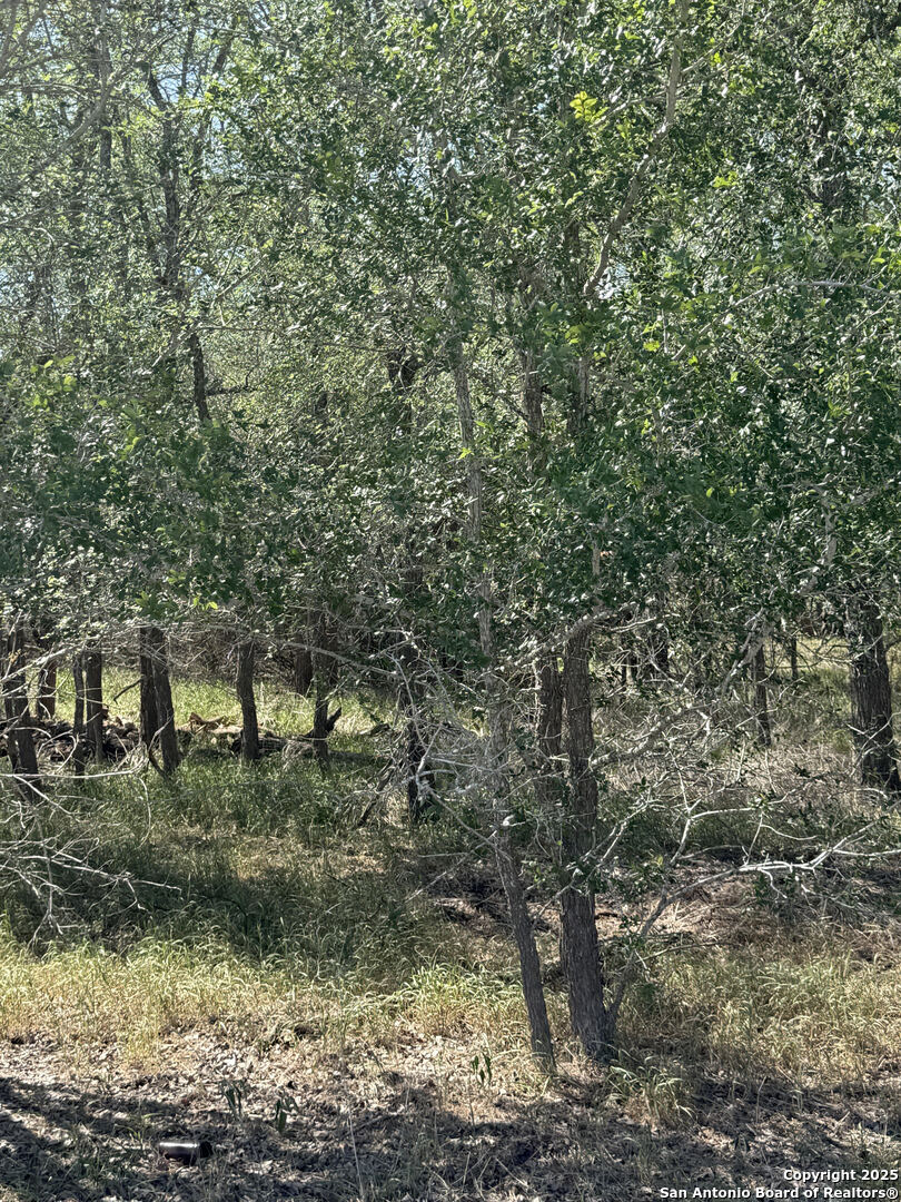 421 Kerr Avenue Sutherland Springs TX 78161
