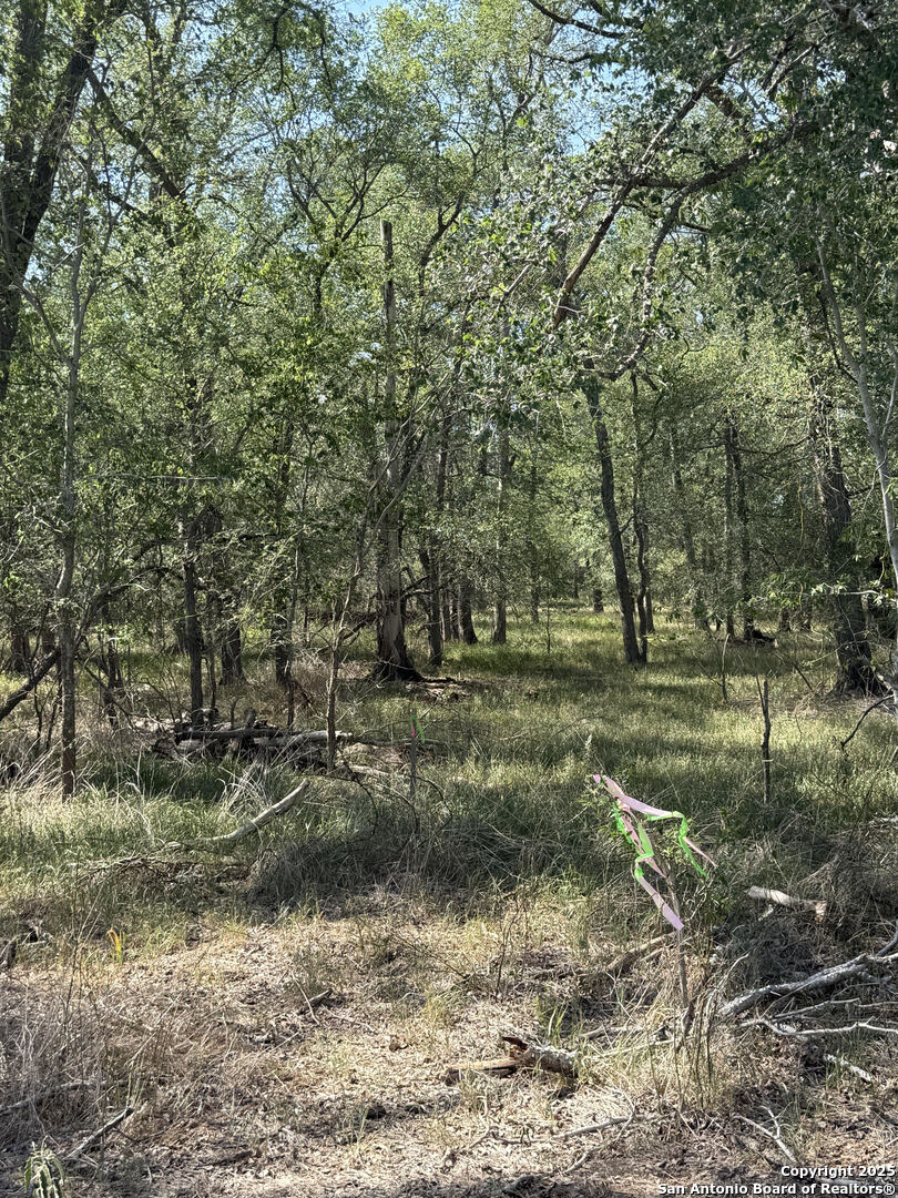 421 Kerr Avenue Sutherland Springs TX 78161
