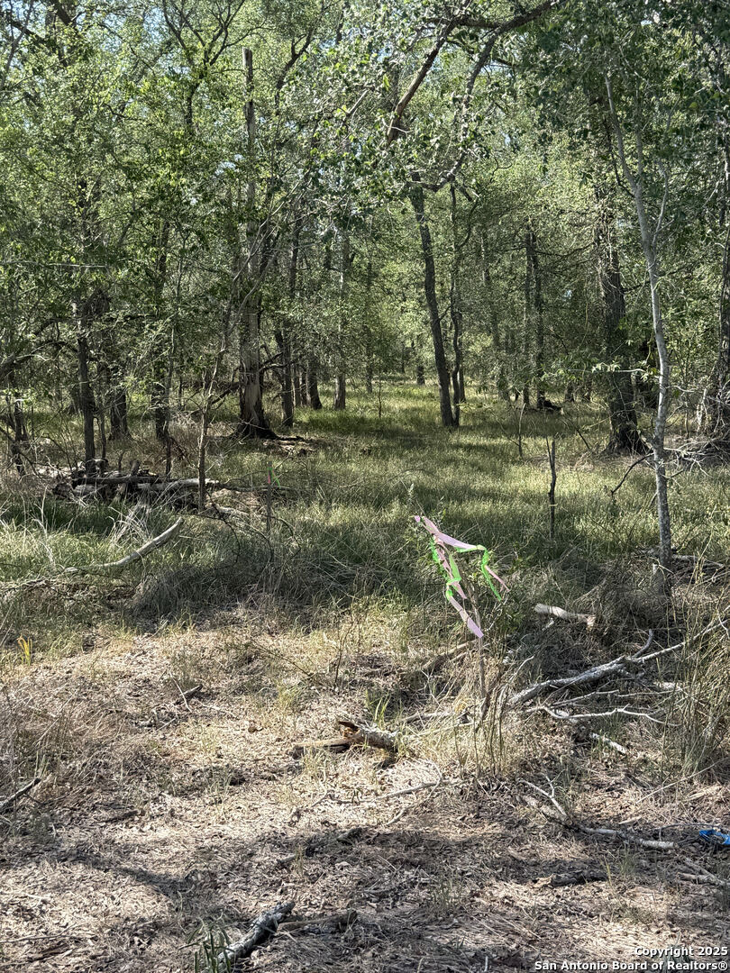 421 Kerr Avenue Sutherland Springs TX 78161