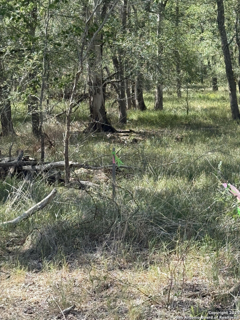 421 Kerr Avenue Sutherland Springs TX 78161