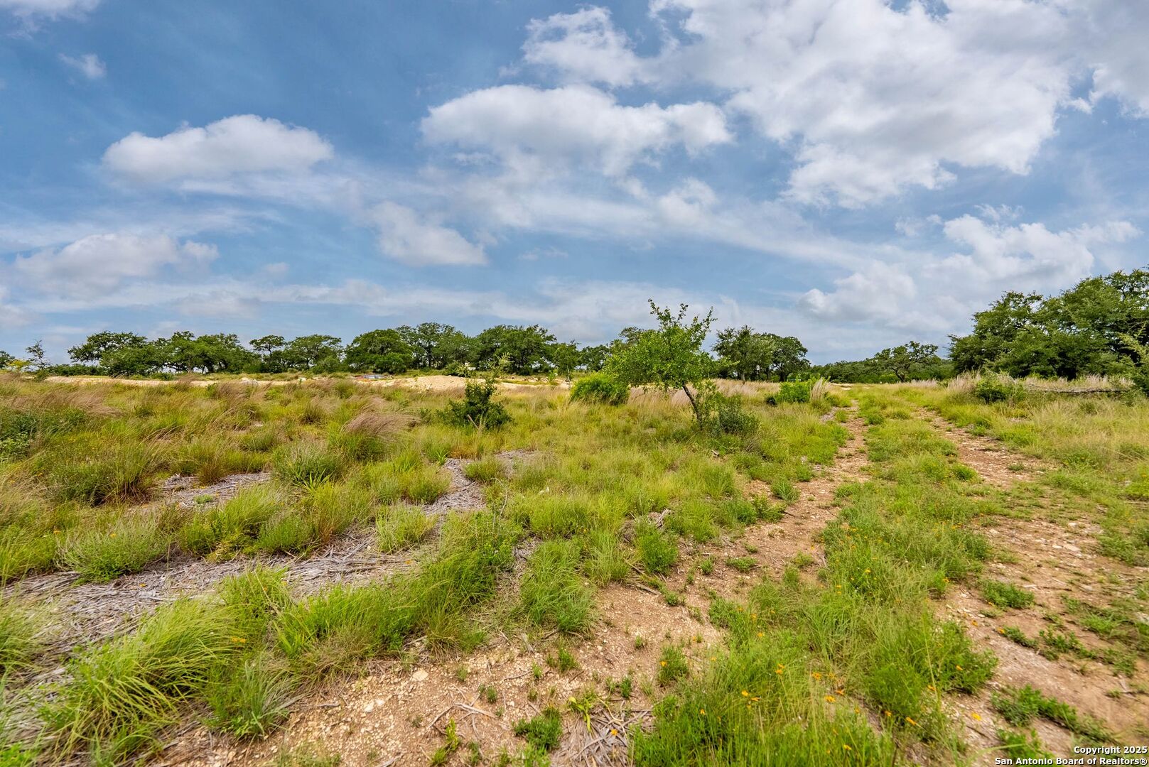 24339 Tres Arroyos San Antonio TX 78006