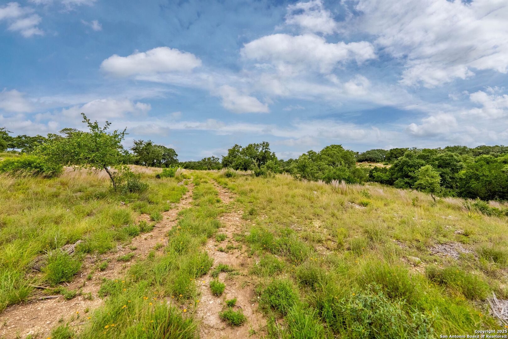 24339 Tres Arroyos San Antonio TX 78006