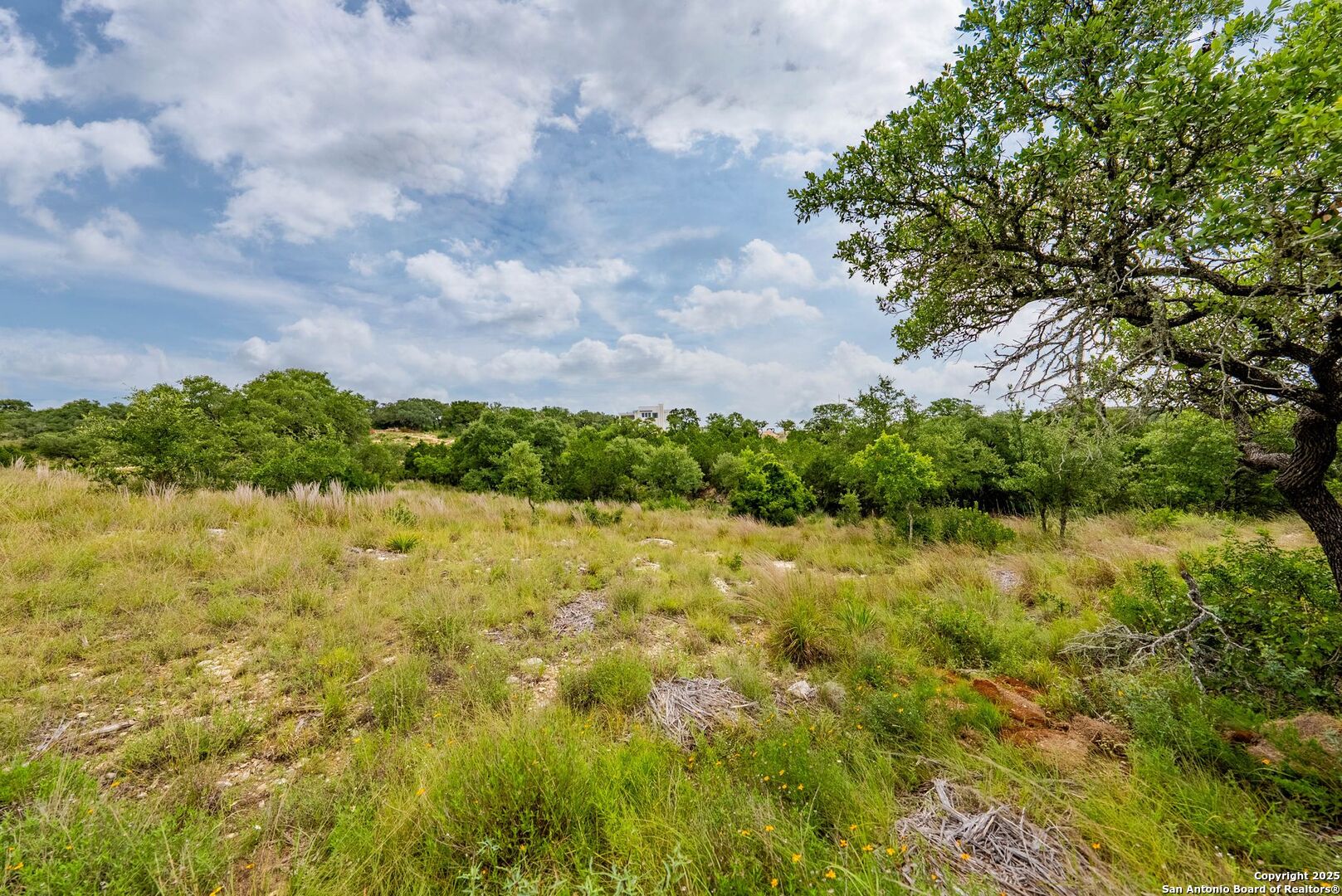 24339 Tres Arroyos San Antonio TX 78006