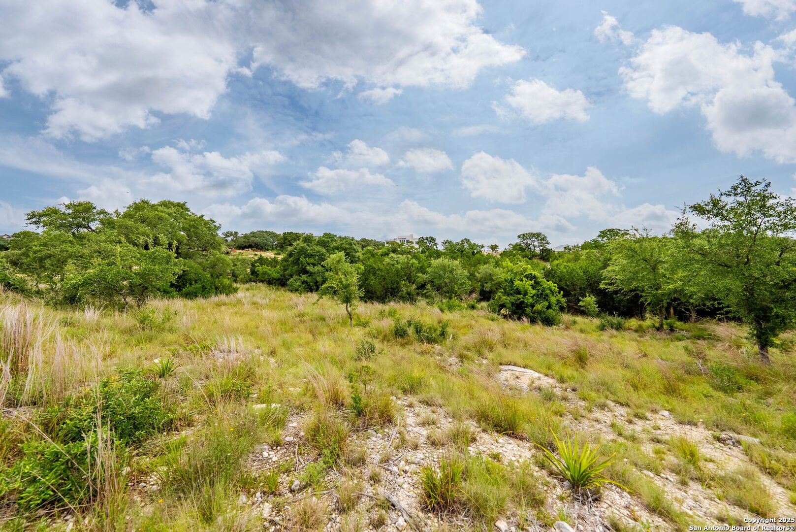 24339 Tres Arroyos San Antonio TX 78006