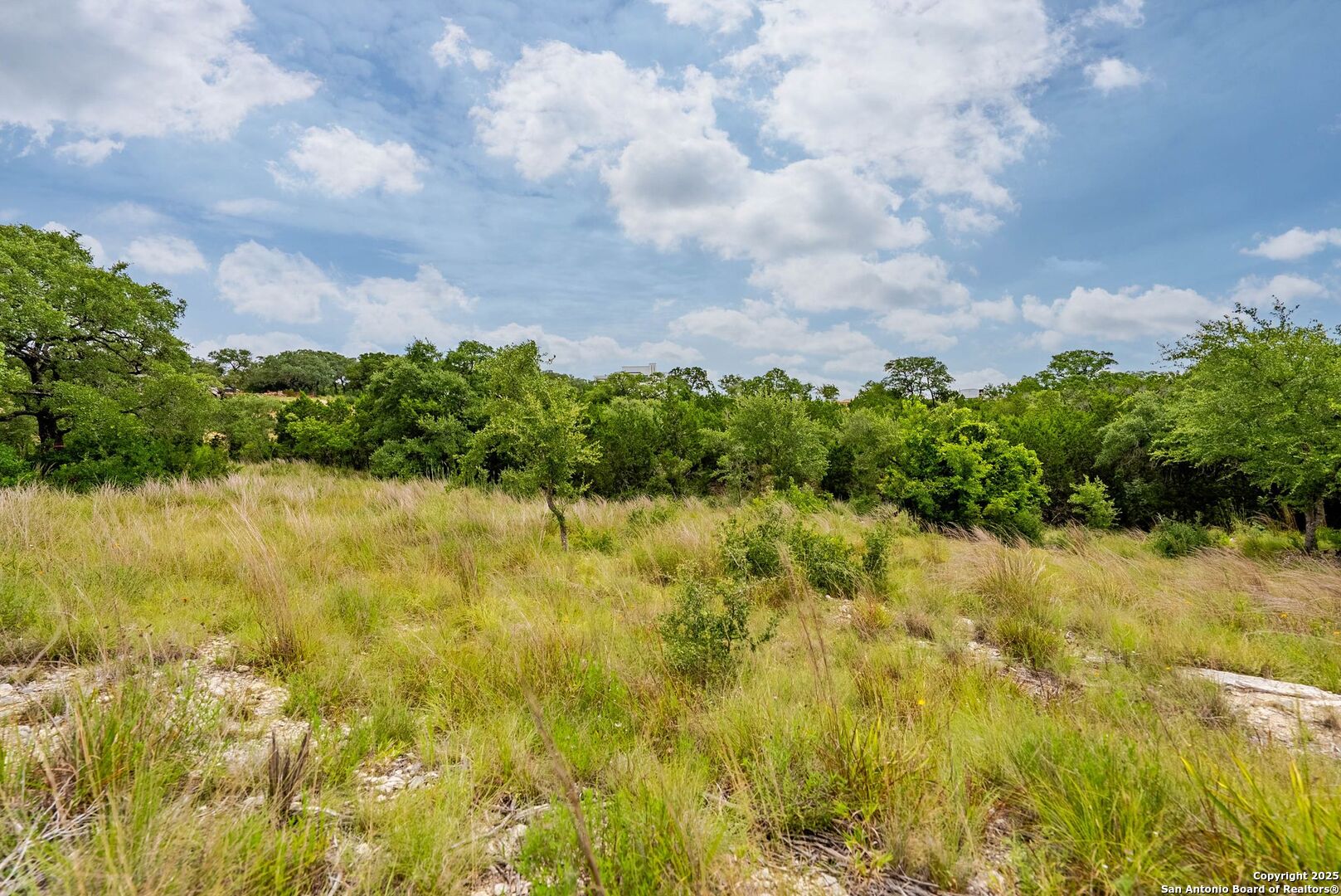 24339 Tres Arroyos San Antonio TX 78006