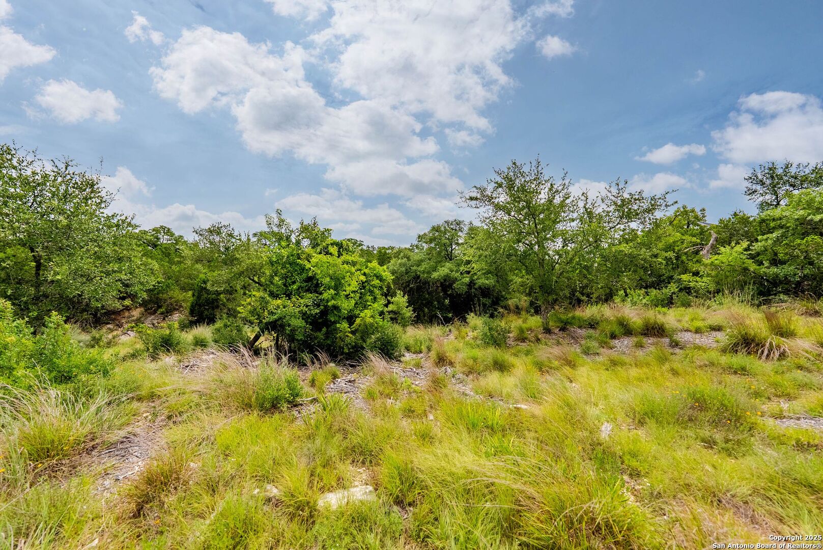 24339 Tres Arroyos San Antonio TX 78006