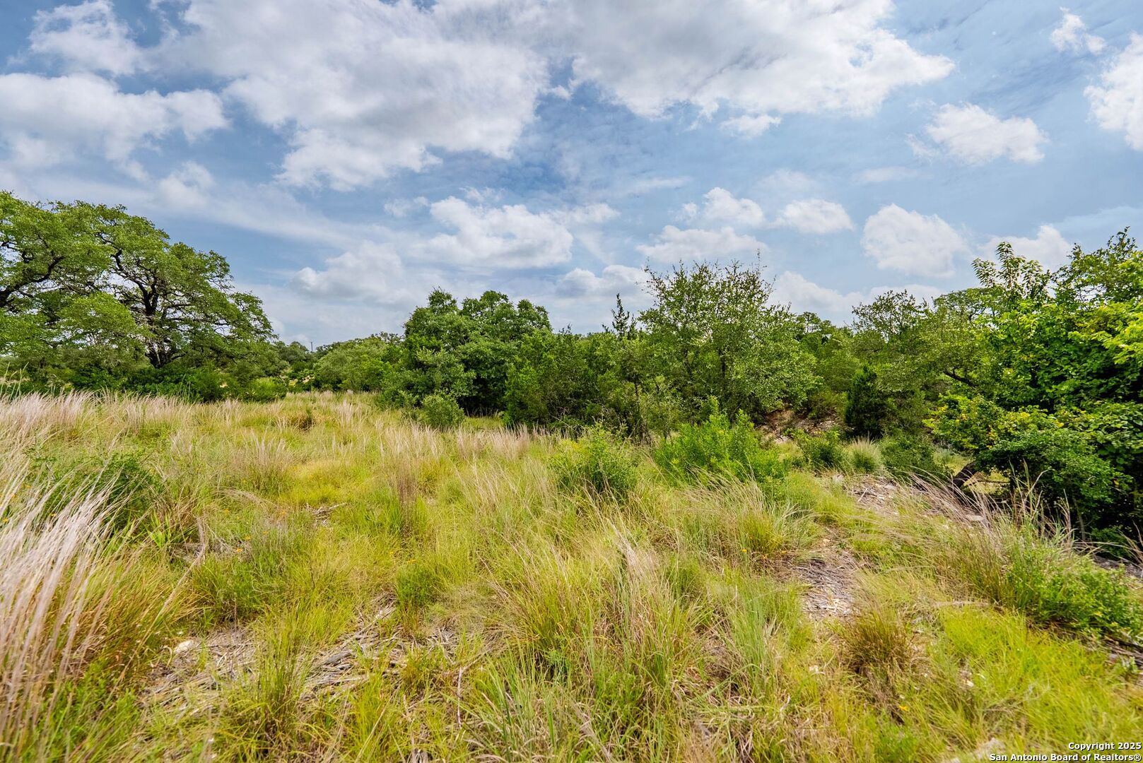 24339 Tres Arroyos San Antonio TX 78006