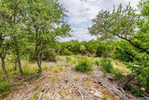 24339 Tres Arroyos San Antonio TX 78006