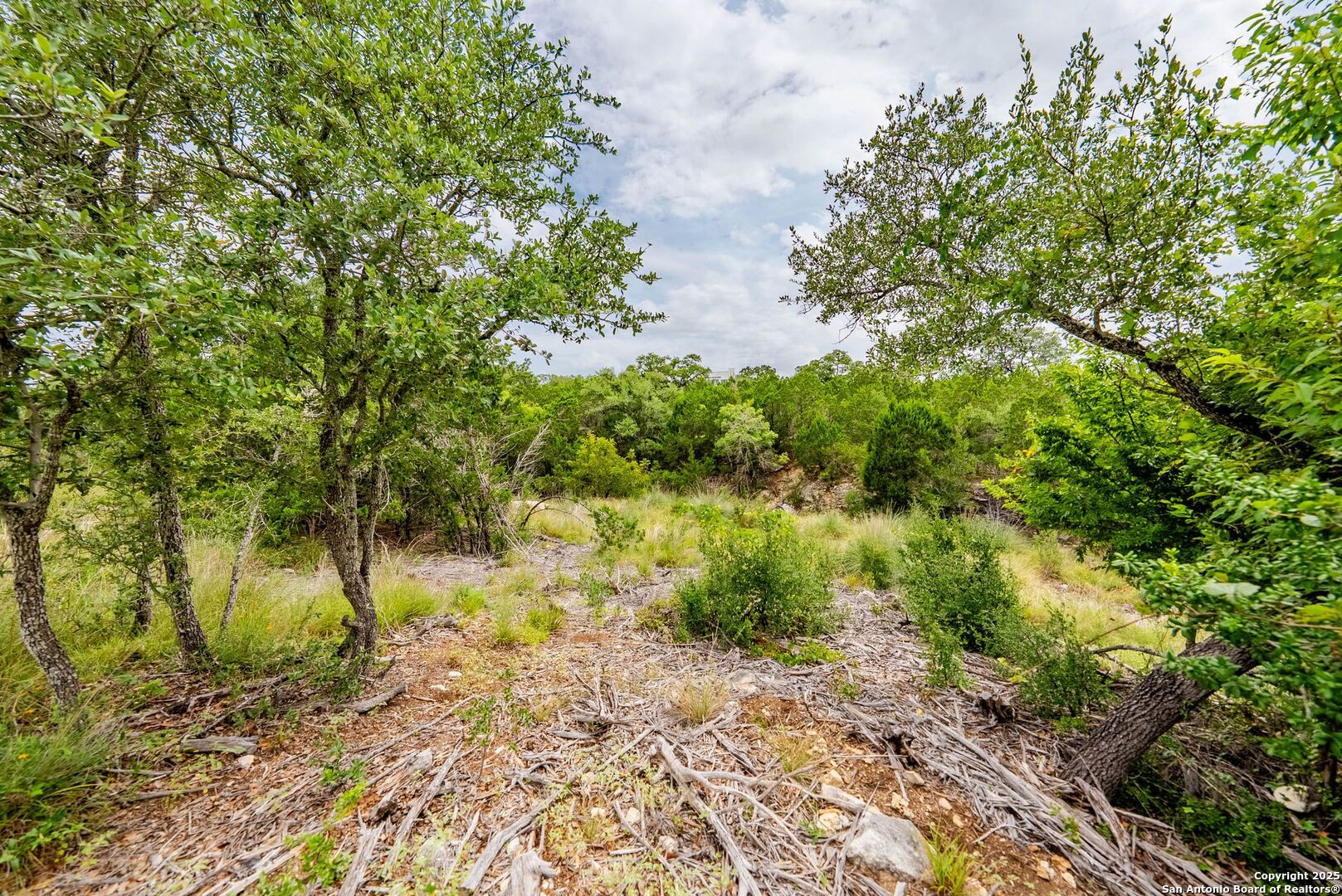 24339 Tres Arroyos San Antonio TX 78006