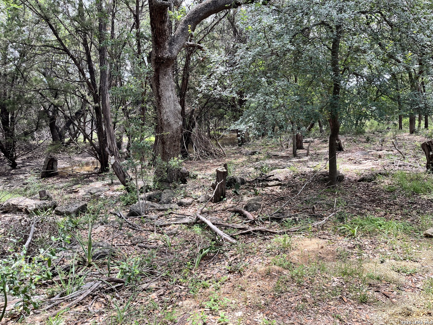 1836 Lookout Forest San Antonio TX 78260
