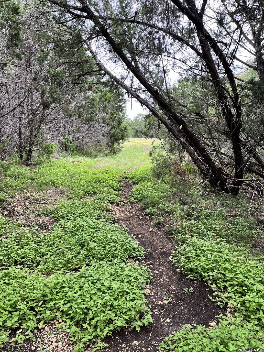 1836 Lookout Forest San Antonio TX 78260
