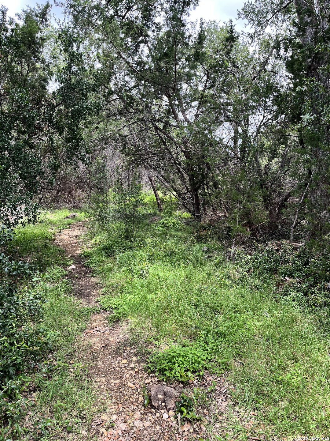 1836 Lookout Forest San Antonio TX 78260