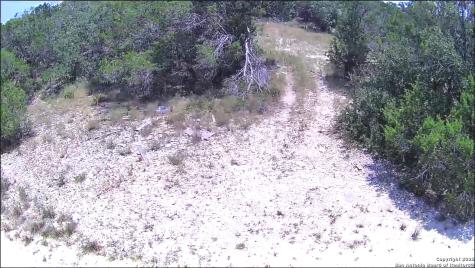 16 Contour Drive Spring Branch TX 78070