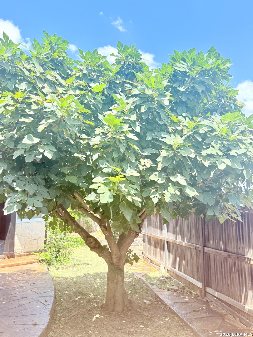 21750 Thunder Basin San Antonio TX 78261