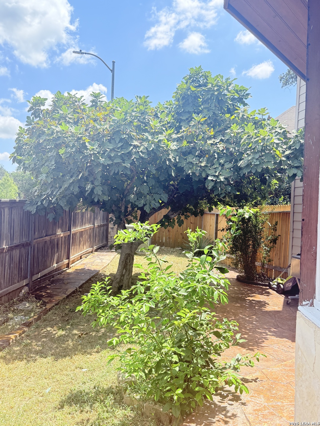 21750 Thunder Basin San Antonio TX 78261