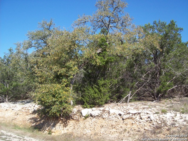 516 Cielo Vista Canyon Lake TX 78133