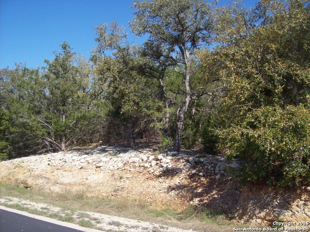 516 Cielo Vista Canyon Lake TX 78133