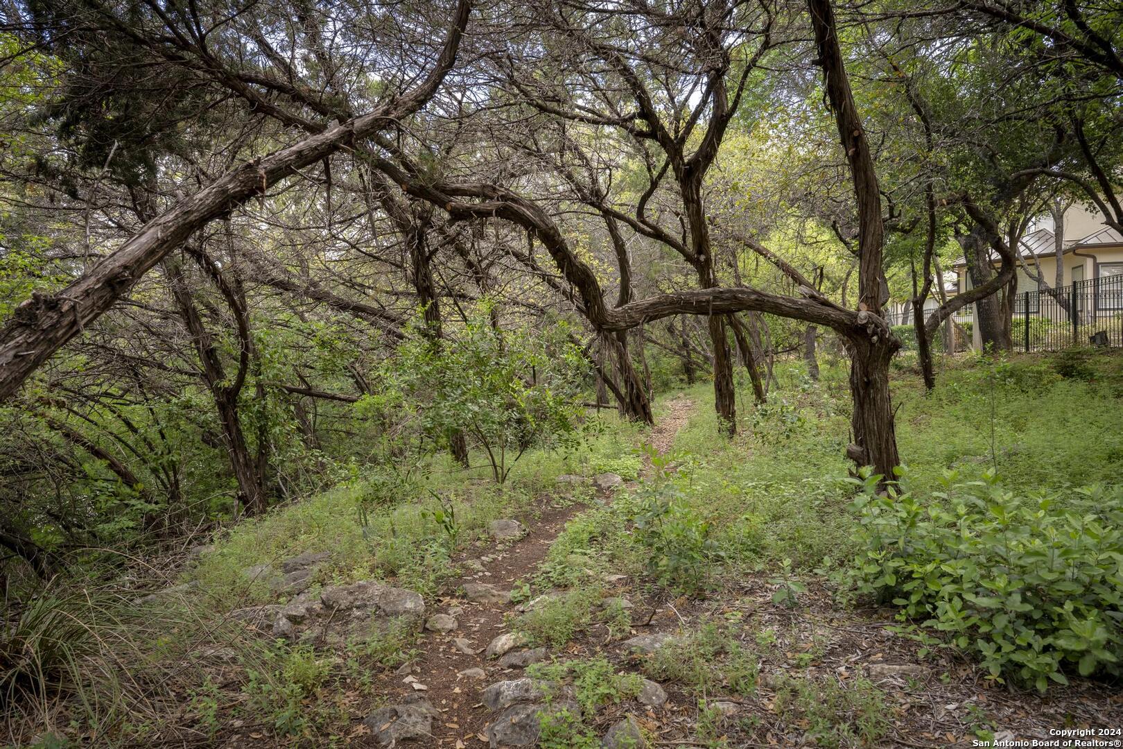 19 Sanctuary Drive San Antonio TX 78248