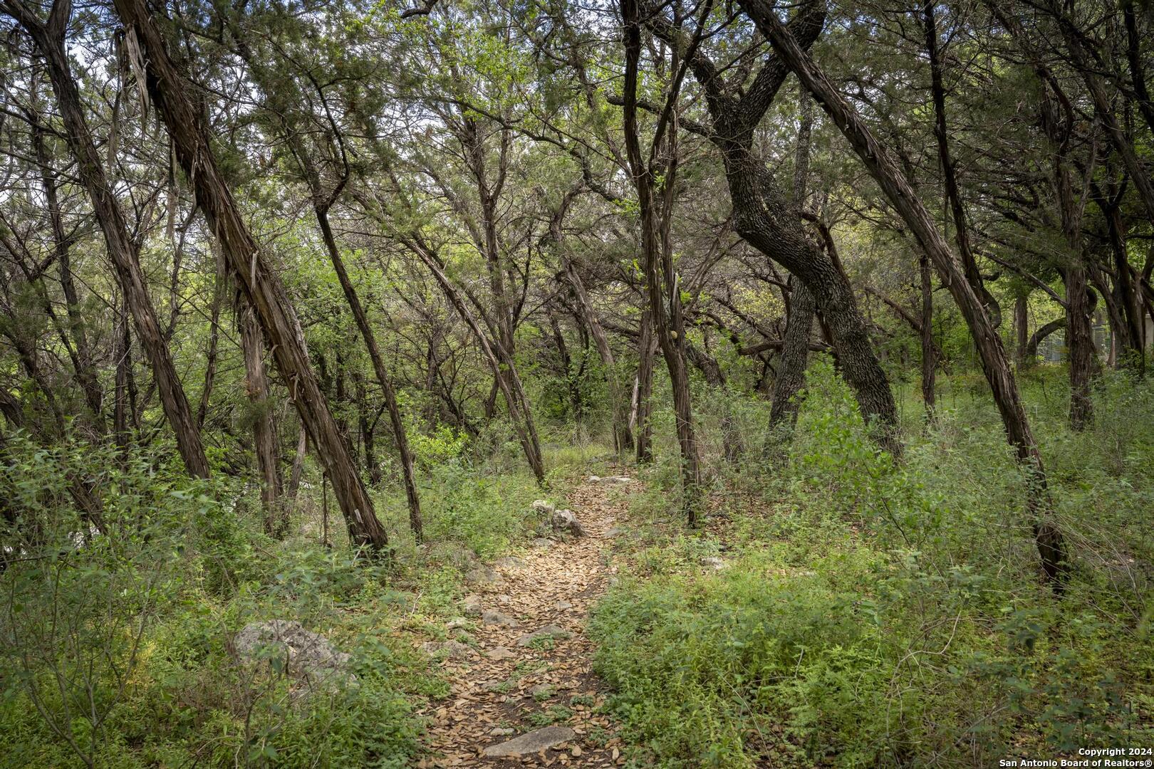 19 Sanctuary Drive San Antonio TX 78248