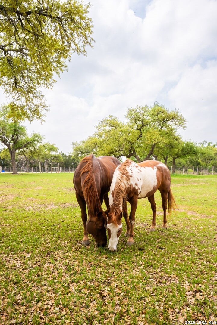 376 San Marcos New Braunfels TX 78132