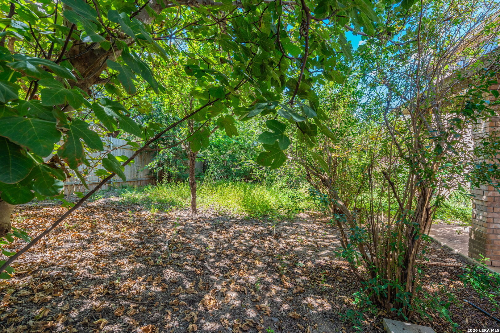 7219 Albany Ridge San Antonio TX 78250