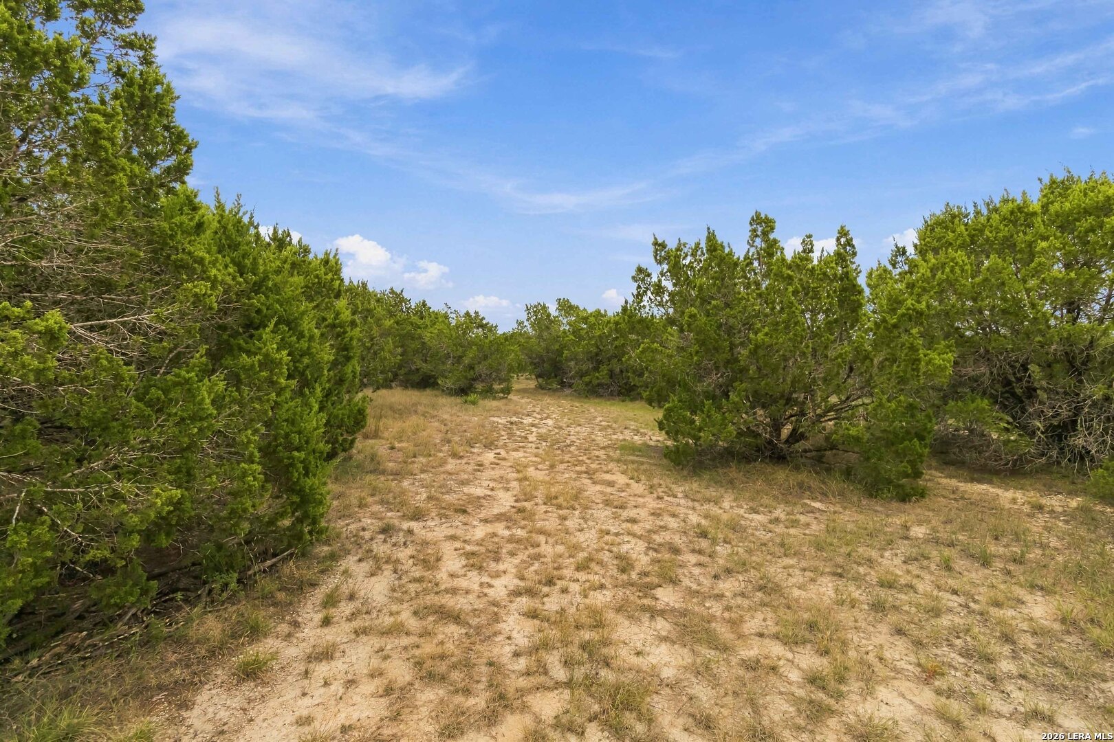 148 Triple Elm Lane Bulverde TX 78163